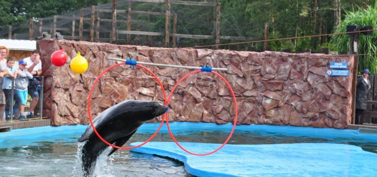 Sea Park Sarbsk