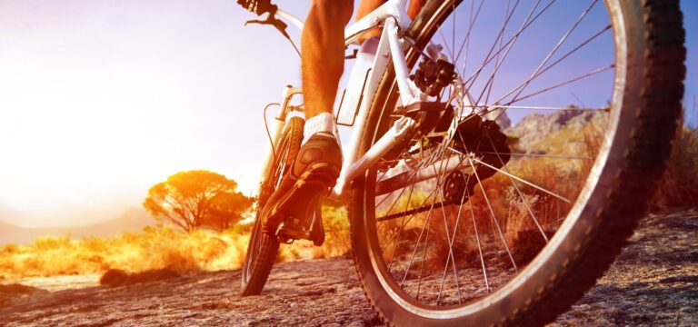 Wypożyczalnia rowerów oraz rowerów elektrycznych