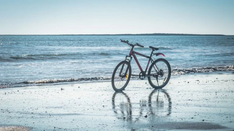 Podróże „slow biking” – trasy rowerowe przez lasy, bagna i nad jeziorka