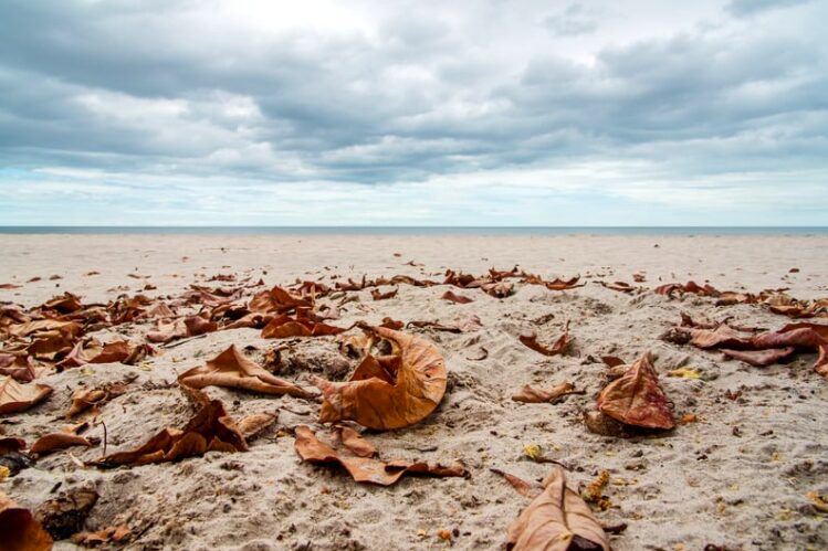 Jesienne spacery po plaży – dlaczego warto odkryć Bałtyk poza sezonem